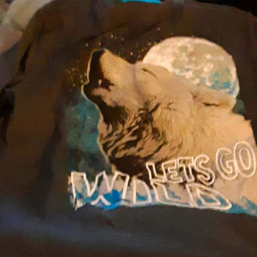 3@$15 Wonder Nation tshirt Lg 10/12